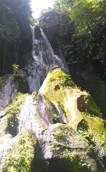 Goa Giri Campuhan Waterfall